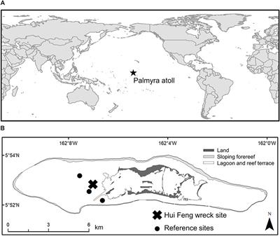 Herbivorous Fish Populations Respond Positively to a Shipwreck Removal and Associated Alteration of Benthic Habitat